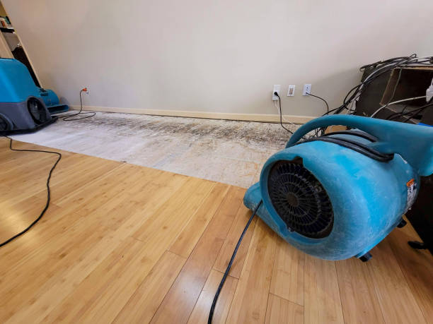 Professional Ceiling Water Damage Repair technician working in Waco, NC